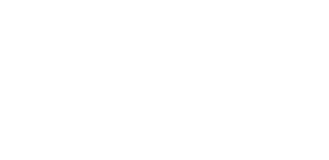 Elevate Strategies